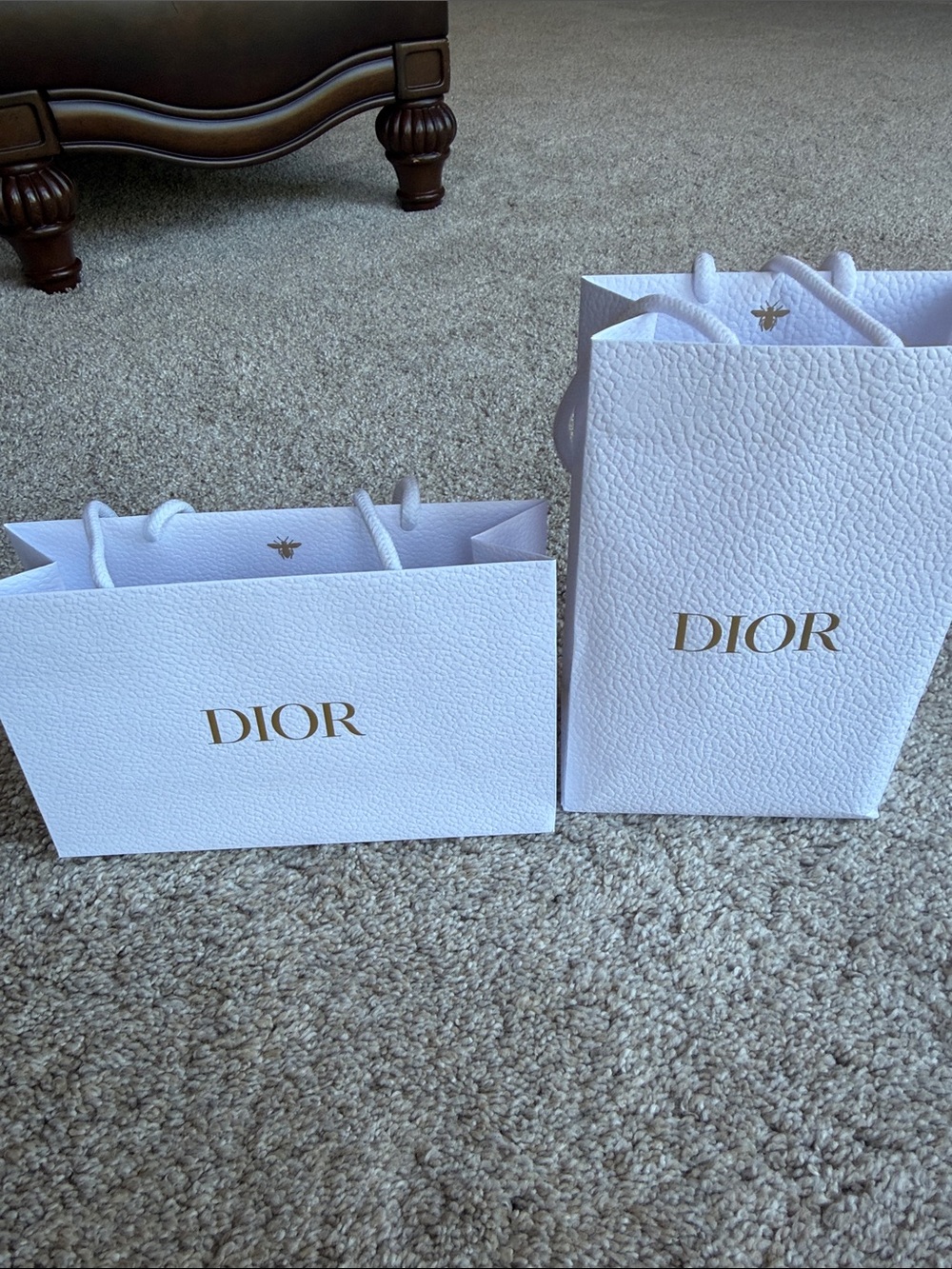 DIOR Shopping Bags Set of 2